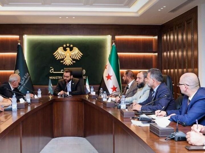 سوريا تعزز استراتيجية قطاع الزيتون وتتحرك لاستعادة عضويتها الدولية