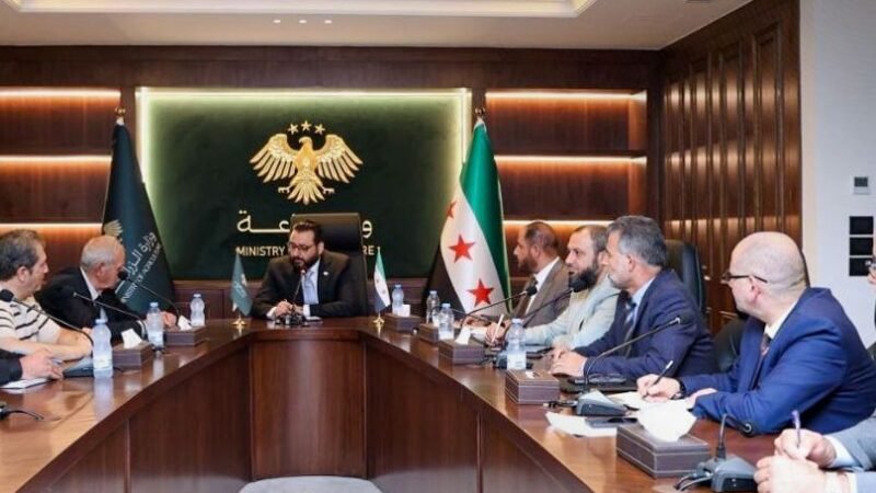 سوريا تعزز استراتيجية قطاع الزيتون وتتحرك لاستعادة عضويتها الدولية