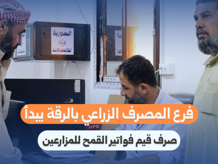 فرع المصرف الزراعي بالرقة يبدأ صرف فواتير القمح للمزارعين