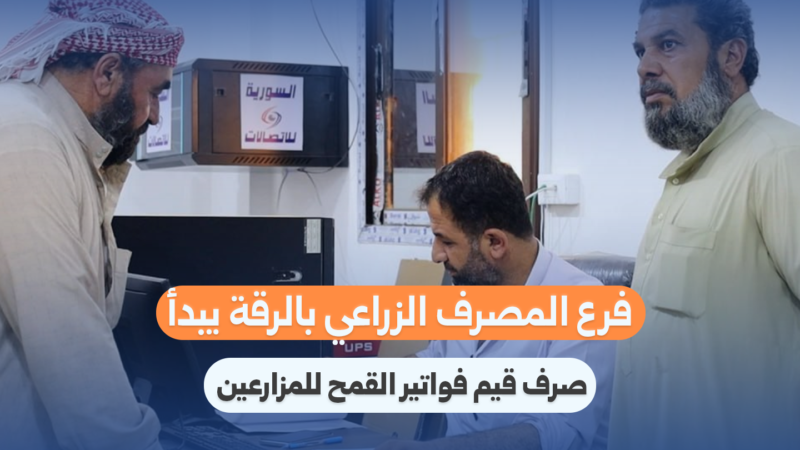 فرع المصرف الزراعي بالرقة يبدأ صرف فواتير القمح للمزارعين