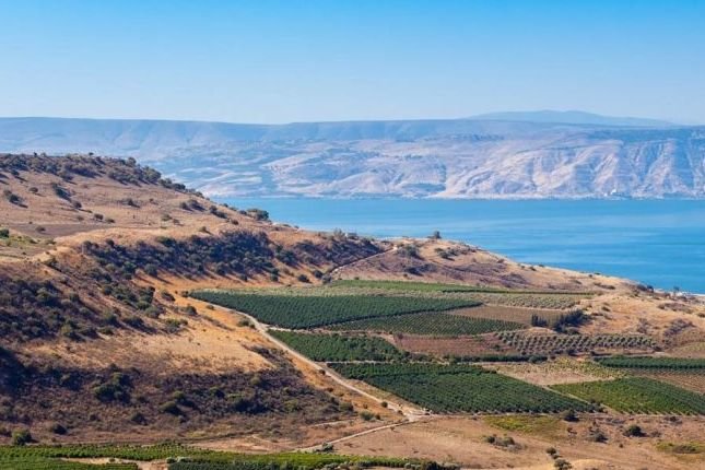 إدانات عربية واسعة لاعتراف كولومبيا بسيادة الاحتلال على الجولان