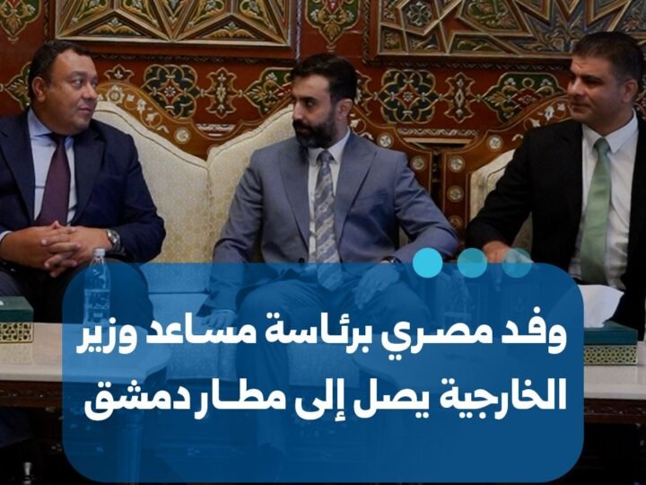 استقبال وفد مصري رفيع المستوى في دمشق