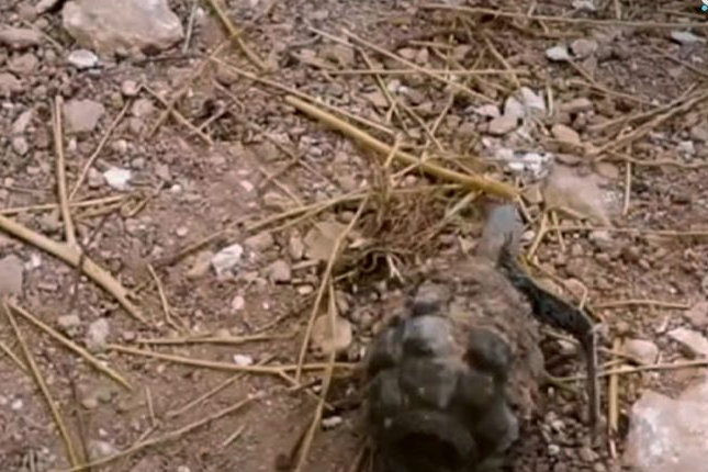 مقتل شخص بانفجار قنبلة يدوية في مدينة منبج بريف حلب