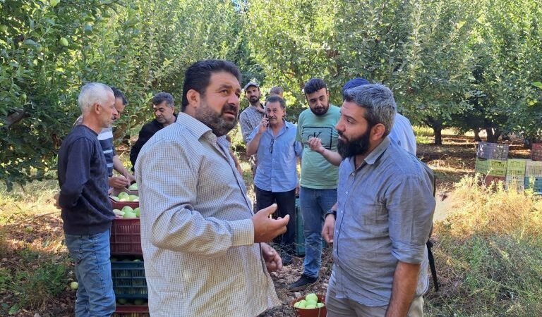 سوريا تمدد منع استيراد التفاح وتحدد فترة حظر لاستيراد الليمون