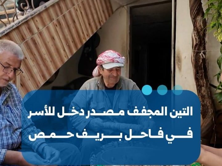التين المجفف: مصدر دخل ومؤونة أساسية لأهالي فاحل بحمص