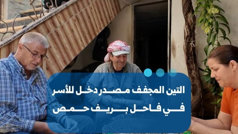 التين المجفف: مصدر دخل ومؤونة أساسية لأهالي فاحل بحمص