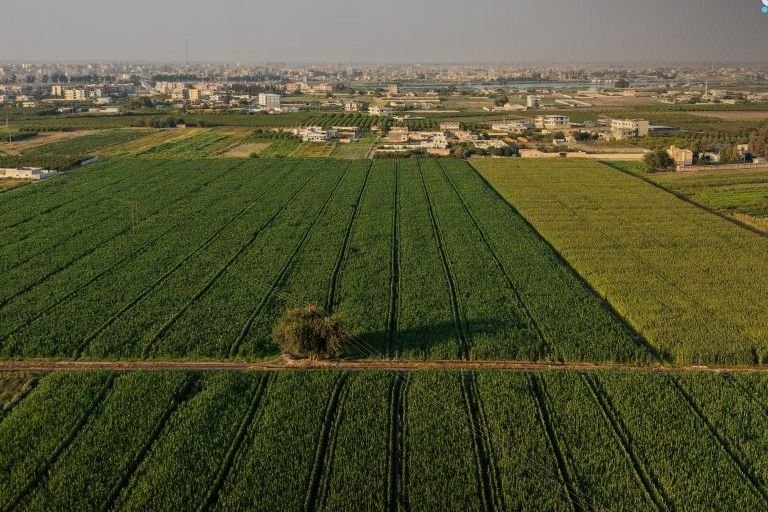 انخفاض ملموس في درجات الحرارة وتحذيرات من أمطار غزيرة في سوريا