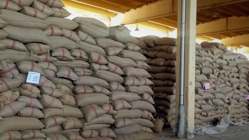 درعا: إكثار البذار تستلم 10 آلاف طن من قمح الموسم الحالي