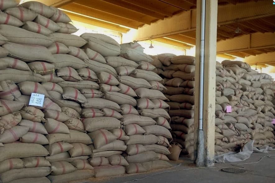 درعا: إكثار البذار تستلم 10 آلاف طن من قمح الموسم الحالي