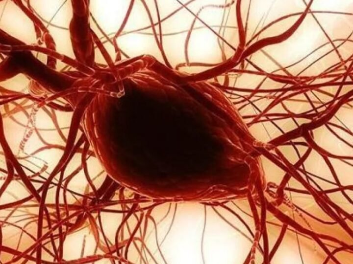 اكتشاف علمي جديد لاستخدام دهون الخدين في ترميم القرنية والعظام