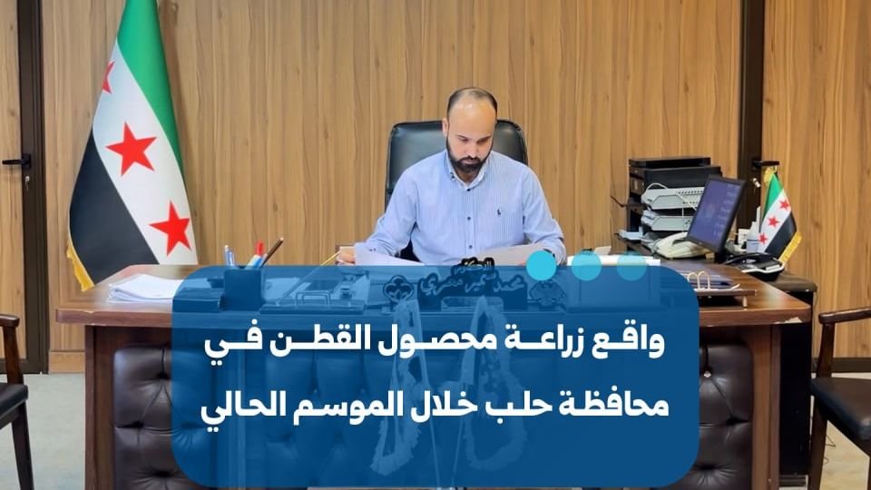 واقع زراعة محصول القطن في محافظة حلب للموسم الحالي