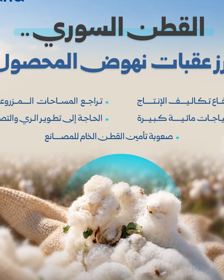 تحديات متزايدة تواجه محصول القطن في سوريا خلال موسم القطاف
