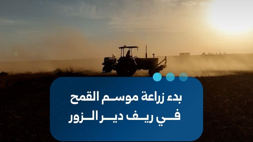 انطلاق موسم زراعة القمح في ريف دير الزور