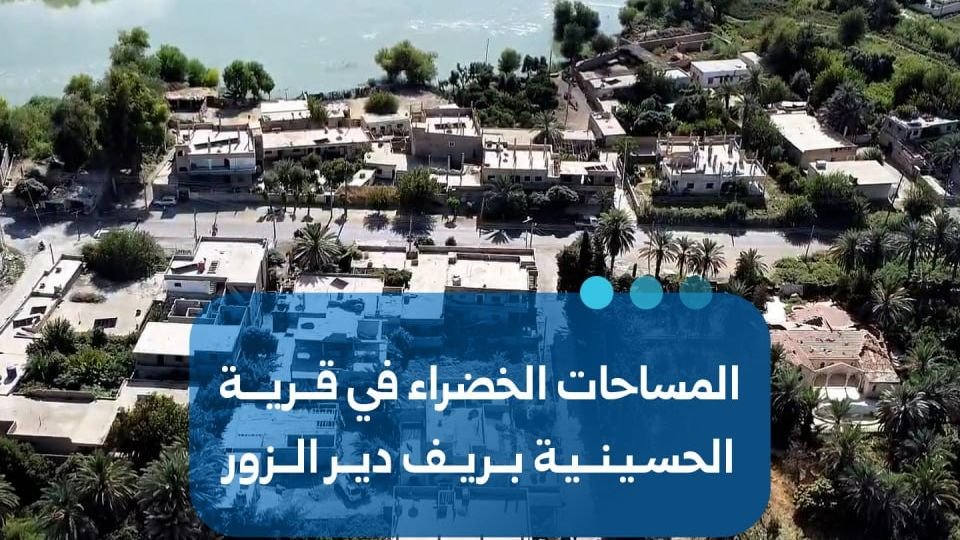 المساحات الخضراء في قرية الحسينية بريف دير الزور